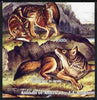 Benin 2003 Animals of America imperf m/sheet (Wolves by John Audubon) unmounted mint