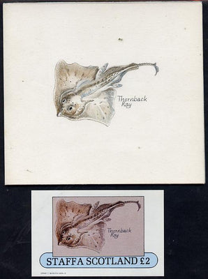 Staffa 1982 Fish #08 (Thornback Ray) original artwork by Prue Theobalds of the B L Kearley Studio, watercolour on board 80 x 60 mm plus issued imperf deluxe sheet incorporating this image