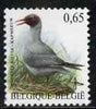 Belgium 2002-09 Birds #5 Black-Headed Gull 0.65 Euro unmounted mint, SG 3703