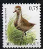 Belgium 2002-09 Birds #5 Golden Plover 0.75 Euro unmounted mint, SG 3704aa