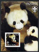 Eritrea 2002 Pandas imperf m/sheet with Scouts Logo unmounted mint