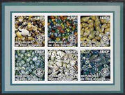 Ivory Coast 2002 Sea Shells #1 imperf sheetlet containing set of 6 values (green border) each with Rotary logo, unmounted mint