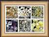 Ivory Coast 2002 Sea Shells #2 imperf sheetlet containing set of 6 values (brown border) each with Rotary logo, unmounted mint