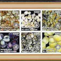 Ivory Coast 2002 Sea Shells #2 imperf sheetlet containing set of 6 values (brown border) each with Rotary logo, unmounted mint