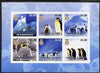 Mauritania 2002 Penguins #2 imperf sheetlet containing 6 values each with Rotary logo, unmounted mint