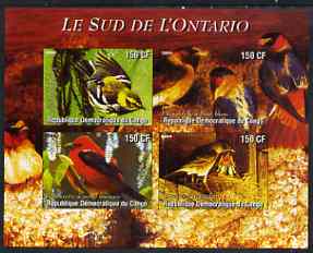 Congo 2004 Birds - Le Sud de L'Ontario imperf sheetlet containing 4 values unmounted mint
