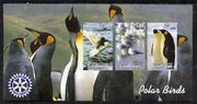 Gambia 2003 Polar Birds imperf sheetlet containing 3 values with Rotary logo, unmounted mint