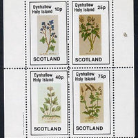 Eynhallow 1982 Wild Flowers perf sheetlet containing set of 4 values unmounted mint