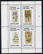 Eynhallow 1982 Wild Flowers perf sheetlet containing set of 4 values unmounted mint