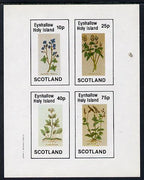 Eynhallow 1982 Wild Flowers imperf sheetlet containing set of 4 values unmounted mint