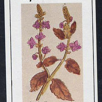 Eynhallow 1982 Wild Flowers (Speedwell) imperf souvenir sheet (£1 value) unmounted mint