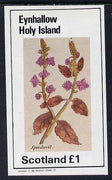 Eynhallow 1982 Wild Flowers (Speedwell) imperf souvenir sheet (£1 value) unmounted mint