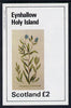 Eynhallow 1982 Wild Flowers (Creeping Cromwell) imperf deluxe sheet (£2 value) unmounted mint