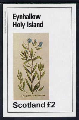 Eynhallow 1982 Wild Flowers (Creeping Cromwell) imperf deluxe sheet (£2 value) unmounted mint