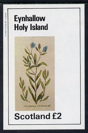 Eynhallow 1982 Wild Flowers (Creeping Cromwell) imperf deluxe sheet (£2 value) unmounted mint
