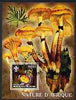 Benin 2006 Nature of Africa - Fungi & Butterfly (with Scout Logo) perf m/sheet cto used