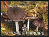 St Thomas & Prince Islands 1993 Fungi (Pluteus murinus) perf m/sheet very fine cto used