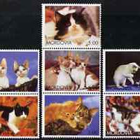 Mordovia Republic 2001 Domestic Cats perf set of 7 values complete unmounted mint
