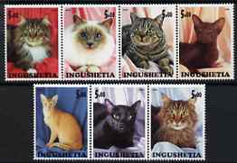 Ingushetia Republic 2000 Domestic Cats perf set of 7 values complete unmounted mint