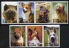 Altaj Republic 2000 Dogs perf set of 7 values complete unmounted mint