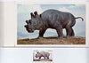 Oman 1979 Prehistoric Animals - original artwork for 15b value (Uintatherium eocene) comprising coloured illustration mounted on board with lettering on tracing-paper overlay, plus issued stamp