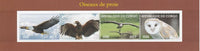 Congo 2017 Birds of Prey #1 perf sheetlet containing 4 values unmounted mint. Note this item is privately produced and is offered purely on its thematic appeal