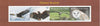 Congo 2017 Birds of Prey #1 imperf sheetlet containing 4 values unmounted mint. Note this item is privately produced and is offered purely on its thematic appeal