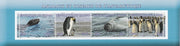 Congo 2017 Antarctic Fauna perf sheetlet containing 4 values unmounted mint. Note this item is privately produced and is offered purely on its thematic appeal