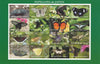 Congo 2017 Butterflies of Japan imperf sheetlet containing 16 values unmounted mintNote this item is privately produced and is offered purely on its thematic appeal, it has no postal validity