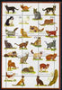 Easdale 1999 Cats Composite perf sheetlet containing 9 values unmounted mint
