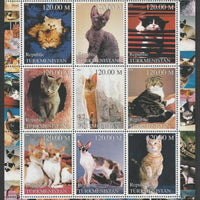 Turkmenistan 2000 Domestic Cats perf sheetlet containing complete set of 9 values unmounted mint. Note this item is privately produced and is offered purely on its thematic appeal, it has no postal validity