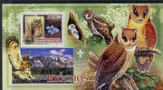 Guinea - Bissau 2007 Birds - Owls #2 large perf s/sheet containing 1 value (Scout logo in background) unmounted mint