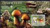 St Thomas & Prince Islands 2007 Fungi large perf s/sheet containing 1 value (Scout logo in background) unmounted mint