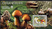 St Thomas & Prince Islands 2007 Fungi large perf s/sheet containing 1 value (Scout logo in background) unmounted mint
