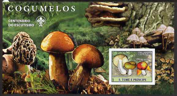 St Thomas & Prince Islands 2007 Fungi large imperf s/sheet containing 1 value (Scout logo in background) unmounted mint