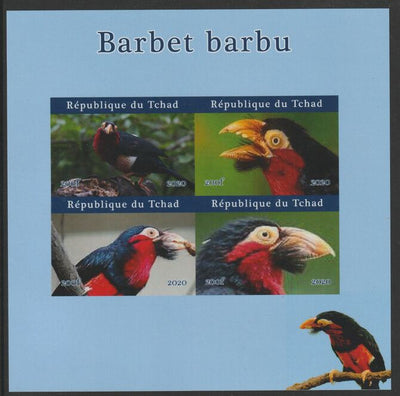 Chad 2020 Birds - Barbet barbu imperf sheetlet containing 4 values unmounted mint. Note this item is privately produced and is offered purely on its thematic appeal