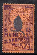 Cinderella - United States 1900 Maine's Old Home Week, perf label #1 in blue & red on salmon very fine with full gum