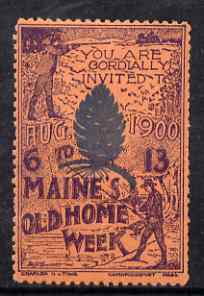 Cinderella - United States 1900 Maine's Old Home Week, perf label #1 in blue & red on salmon very fine with full gum