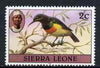 Sierra Leone 1980-82 Birds - Sunbird 2c (with 1981 imprint date) unmounted mint SG 623B*