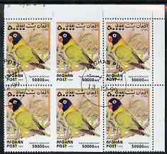 Afghanistan 1999 Love Birds (Agapornis personata) fine corner block of 6, centre two stamps imperf on three sides due to perf jump, fine cto used