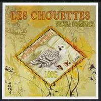 Haiti 2006 Owls perf m/sheet containing diamond shaped value (Snowy Owl) unmounted mint