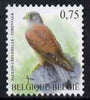 Belgium 2002-09 Birds #5 Common Kestrel 0.75 Euro unmounted mint SG 3704ba