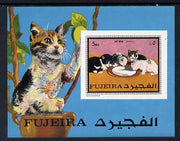 Fujeira 1970 Cats imperf m/sheet unmounted mint (Mi BL 34B)