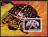 Benin 2004 Owls & Tortoises perf s/sheet #3 fine cto used