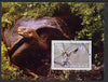 Benin 2004 Owls & Tortoises perf s/sheet #4 fine cto used