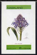 Nagaland 1973 Scilla peruvianum imperf souvenir sheet (2ch value) unmounted mint