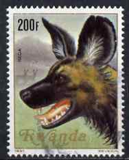 Rwanda 1981 Hunting Dog 200f fine cds used, SG1056