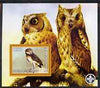 Palestine (PNA) 2007 Owls #2 perf m/sheet with Scout Logo, unmounted mint. Note this item is privately produced and is offered purely on its thematic appeal
