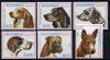 Mozambique 1979 Dogs set of 6 unmounted mint SG 785-90