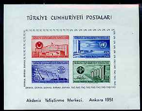 Turkey 1951 United Nations Economic Conference imperf m/sheet unmounted mint, SG 1468a